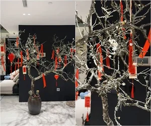 Inside the Luxurious and Modern Living Space of Miss Vietnam Do Thi Ha - image 8