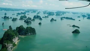 The Ultimate 2024 Ha Long Bay Travel Guide: Best Places to Visit, Dining, and Accommodations - image 8