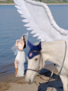 Ethereal Pegasus Muse by the Sea - YiTuYu Art Language Vol.8882 - image 9