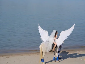 Ethereal Pegasus Muse by the Sea - YiTuYu Art Language Vol.8882 - image 15