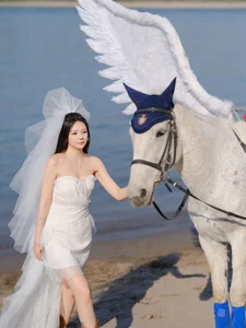 Ethereal Pegasus Muse by the Sea - YiTuYu Art Language Vol.8882 - image 6