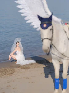 Ethereal Pegasus Muse by the Sea - YiTuYu Art Language Vol.8882 - image 2