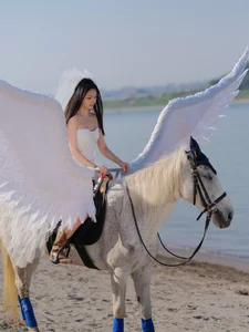 Ethereal Pegasus Muse by the Sea - YiTuYu Art Language Vol.8882 - image 7