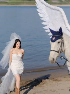 Ethereal Pegasus Muse by the Sea - YiTuYu Art Language Vol.8882 - image 5