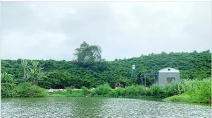 Inside Rapper Tien Dat’s Poetic Mountain Retreat: A Masterpiece of Nature and Architecture - image 5
