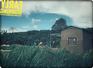 Inside Rapper Tien Dat’s Poetic Mountain Retreat: A Masterpiece of Nature and Architecture - image 0