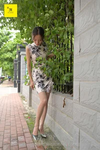 IESS Xiaoliu Nth Fantasy Lonely Weekend Series - image 77