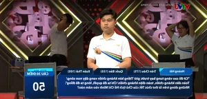 The Road to Mount Olympia: Quang Tri Student’s Remarkable Journey to the Quarter-Finals - image 11