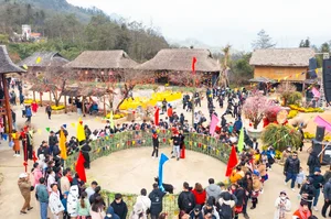 Best Travel Destinations in Northern Vietnam for Tet Holiday 2025 - image 0