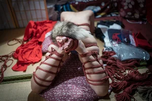 The Aesthetic of Shibari: Understanding the Artistic Expression of Rope Bondage in Modern Photography - image 19