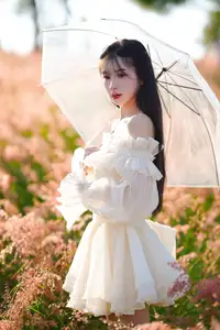Golden Hour Dream: Ethereal Beauty in White Amidst a Blooming Field - image 6