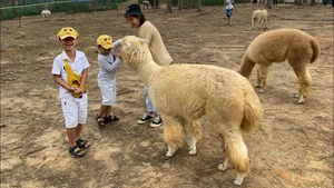 June Family Travel Guide: Best Destinations for the Perfect Summer Break - image 7