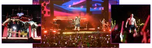 8Wonder Music Festival: Boosting Tourism with Global Stars - image 4
