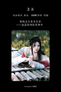 Visual Narrative Series: YiTuYu Art Language Vol.4289 Featuring Feng Zai Qi Shi - image 9