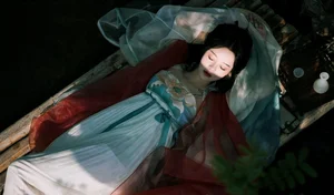 Visual Narrative Series: YiTuYu Art Language Vol.4289 Featuring Feng Zai Qi Shi - image 26
