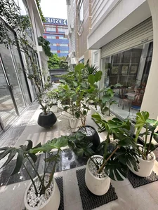 Actress Van Trang Transforms Villa into a Romantic Haven for Anniversary - image 20