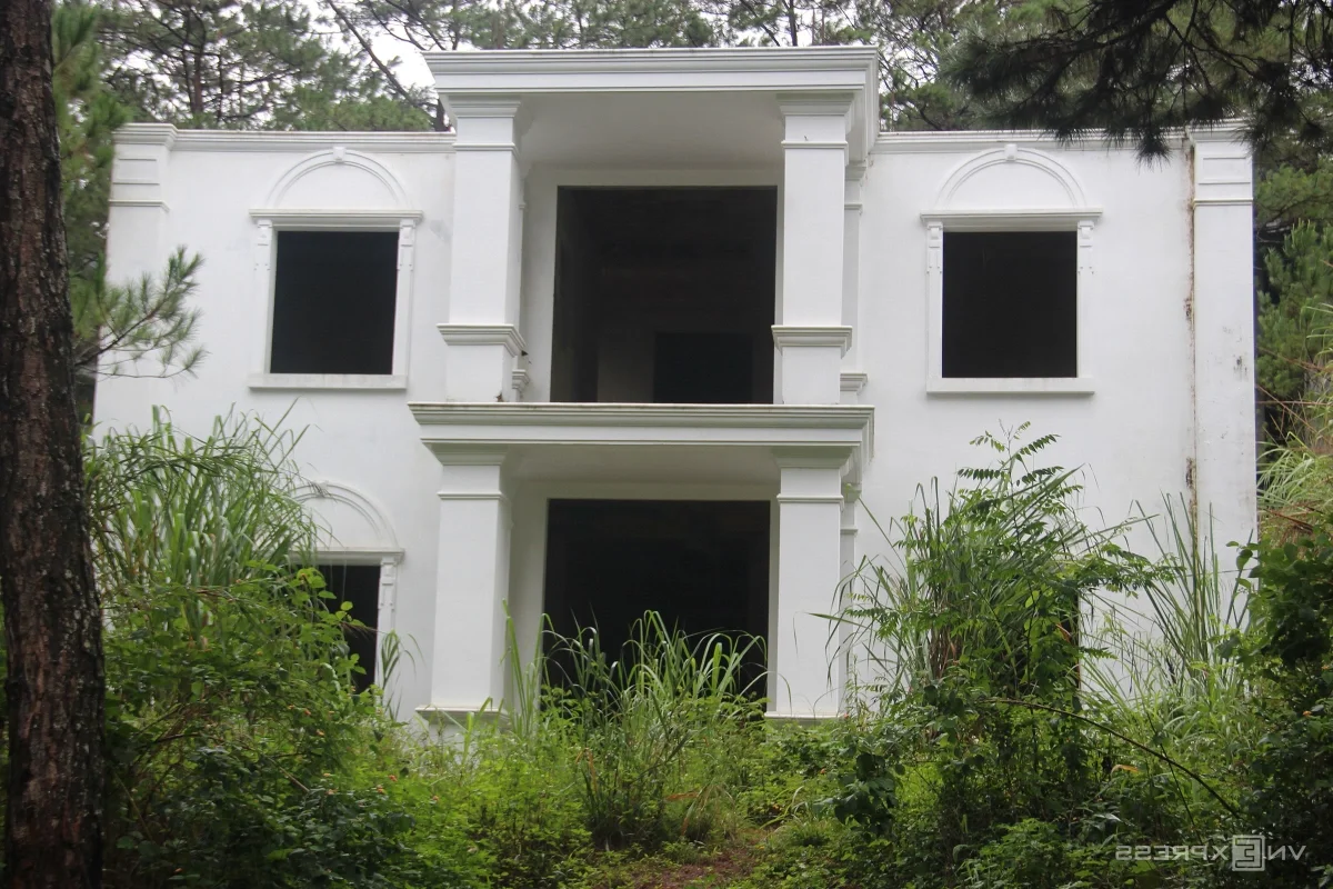 Mang Den Villa Demolition: Current State of 26 Properties