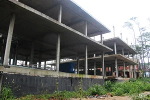 Mang Den Villa Demolition: Current State of 26 Properties - image 5