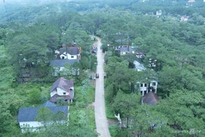 Mang Den Villa Demolition: Current State of 26 Properties - image 8