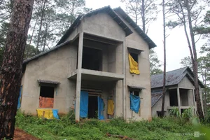 Mang Den Villa Demolition: Current State of 26 Properties - image 7