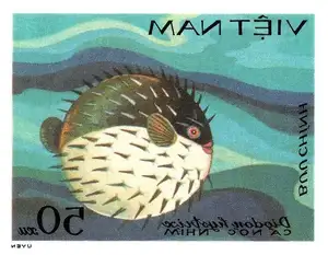 Close-up of Porcupinefish: Master of Defense with Sharp Spines, a Predator's Unforgettable Bite in the Deep Sea - image 6