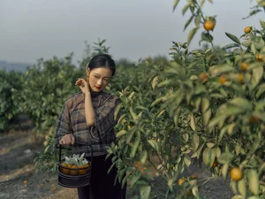 Ethereal Pastoral Beauty: Exploring YiTuYu Art Language Vol.9068 Featuring Yao Guai Na Li Tao - image 22