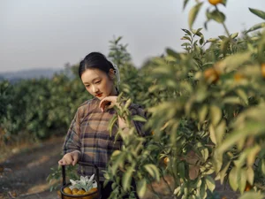 Ethereal Pastoral Beauty: Exploring YiTuYu Art Language Vol.9068 Featuring Yao Guai Na Li Tao - image 4