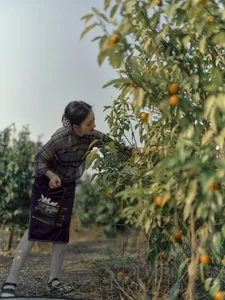 Ethereal Pastoral Beauty: Exploring YiTuYu Art Language Vol.9068 Featuring Yao Guai Na Li Tao - image 13