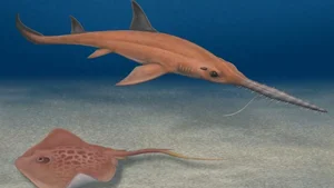 Scientists Discover New Prehistoric Saw-Shaped Shark Species with Unique Evolution - image 1