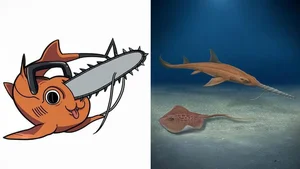 Scientists Discover New Prehistoric Saw-Shaped Shark Species with Unique Evolution - image 4