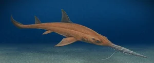 Scientists Discover New Prehistoric Saw-Shaped Shark Species with Unique Evolution - image 3