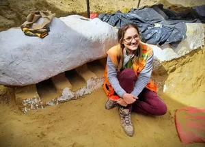 Scientists Discover New Prehistoric Saw-Shaped Shark Species with Unique Evolution - image 6