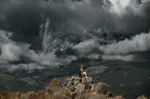 Art Language Vol.6484 Ran Ran: A Serene Journey Through Artistic Photography - image 39
