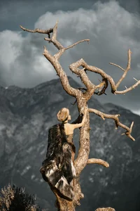 Art Language Vol.6484 Ran Ran: A Serene Journey Through Artistic Photography - image 6