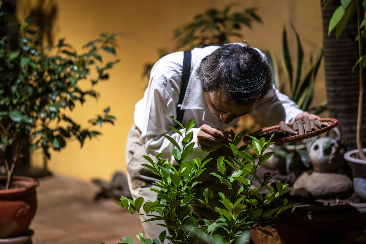 Ancient Hanoi Lifestyle Tour: Experiencing Tradition in the Heart of the Old Quarter
