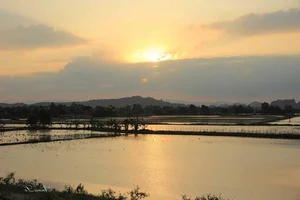 Discover Ninh Binh in May: 5 Essential Experiences in Phuong Oanh's Stunning Hometown - image 2