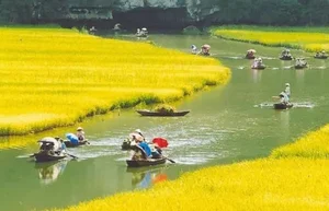 Discover Ninh Binh in May: 5 Essential Experiences in Phuong Oanh's Stunning Hometown - image 0
