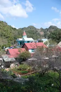 Moc Chau New Year Escape: Find Serenity in Pine Forests, a Relaxing Check-in Spot for Photo Lovers. - image 5