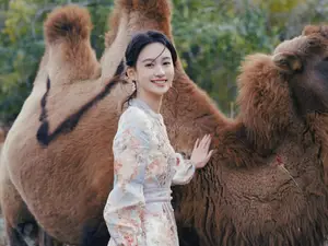 Radiant Smile with Camel: Discovering Wild Beauty & Enchanting Desert Adventures - image 1