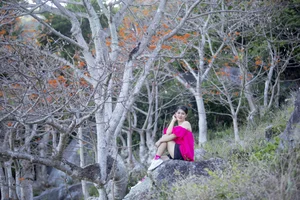 The Blooming Parasol Trees of Cu Lao Cham: A Natural Spectacle - image 8