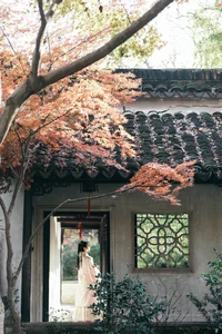 YITUYU Art Language 2024.03.08: Wang Yu's Graceful Performance in the Humble Administrator's Garden - image 9