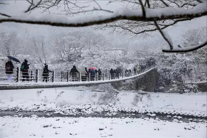 A Winter Fairy Tale: Why Shirakawa-go Is Japan's Most Magical Hidden Gem This Season