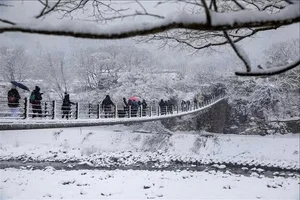 A Winter Fairy Tale: Why Shirakawa-go Is Japan's Most Magical Hidden Gem This Season - image 0