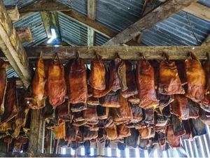 Exploring Hákarl: The Intense Flavors of Iceland’s Famous Fermented Shark Delicacy - image 8