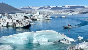 Exploring Hákarl: The Intense Flavors of Iceland’s Famous Fermented Shark Delicacy - image 3