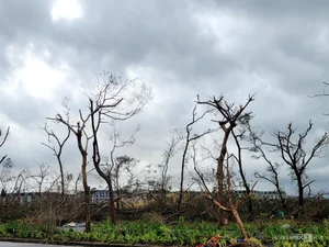 Aftermath of Typhoon Yagi: Impact on Bai Chay Tourist Area - image 1