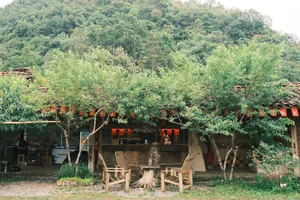 The Ultimate Guide to Horseback Riding in Then Pa Village - image 3