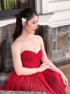 Sao Mai Nghe An Champion Captivates with Heavenly Voice and Stunning Looks - image 4