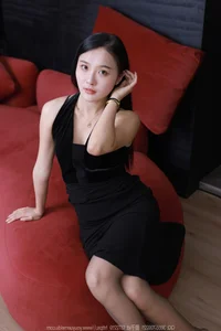 IESS Chinese Model Series: Wan Ping in SXJ NO.1724 - image 0