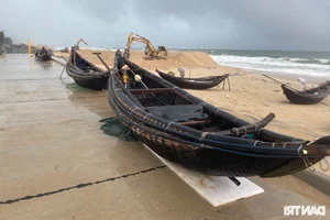 Coastal Erosion in Thua Thien Hue: Communities Brace for Storms - image 0